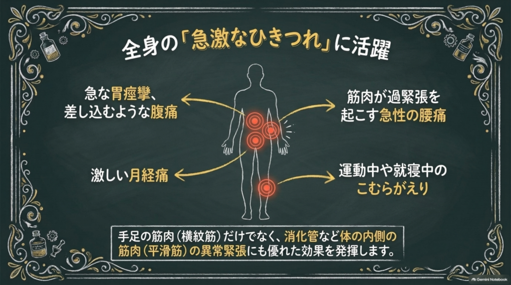 全身の急激なひきつれに用いられることを示した図