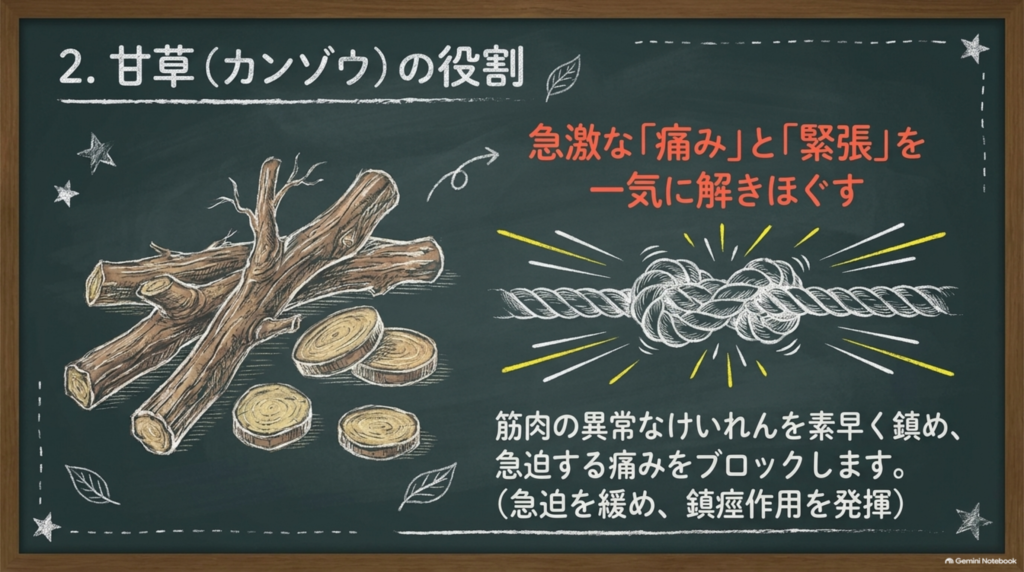 甘草が急激な痛みと緊張を解きほぐす働き