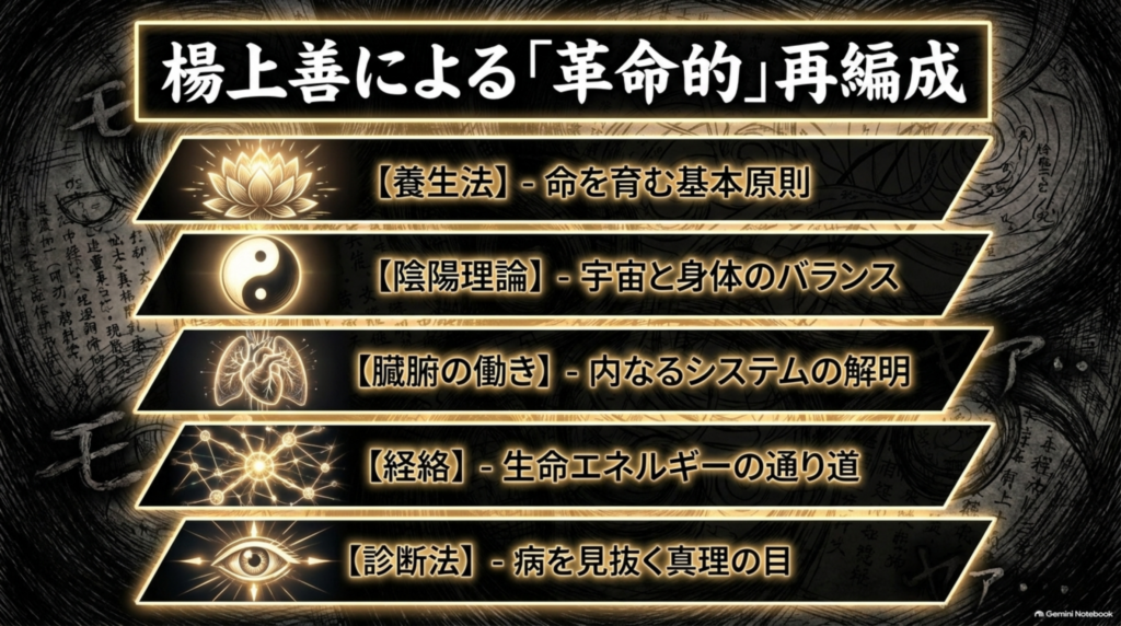 楊上善による革命的な再編成（養生法・陰陽理論・臓腑・経絡・診断法）