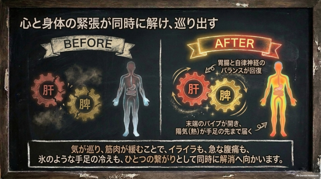 四逆散で心と体の緊張が解けるビフォーアフターの図