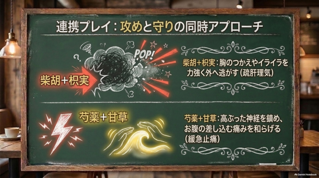 柴胡＋枳実と芍薬＋甘草による攻めと守りの連携