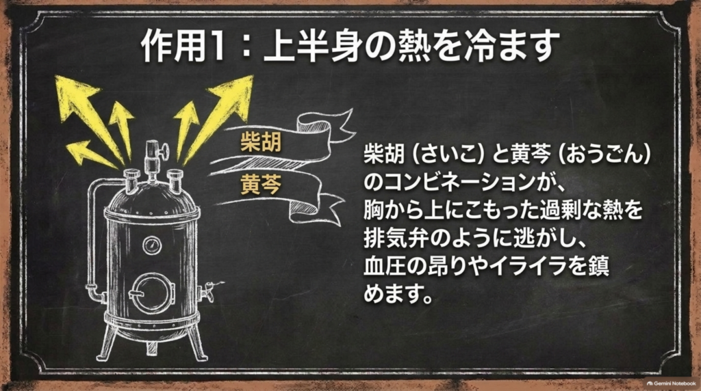 作用1：柴胡と黄芩のコンビネーションが胸から上にこもった熱を逃がす