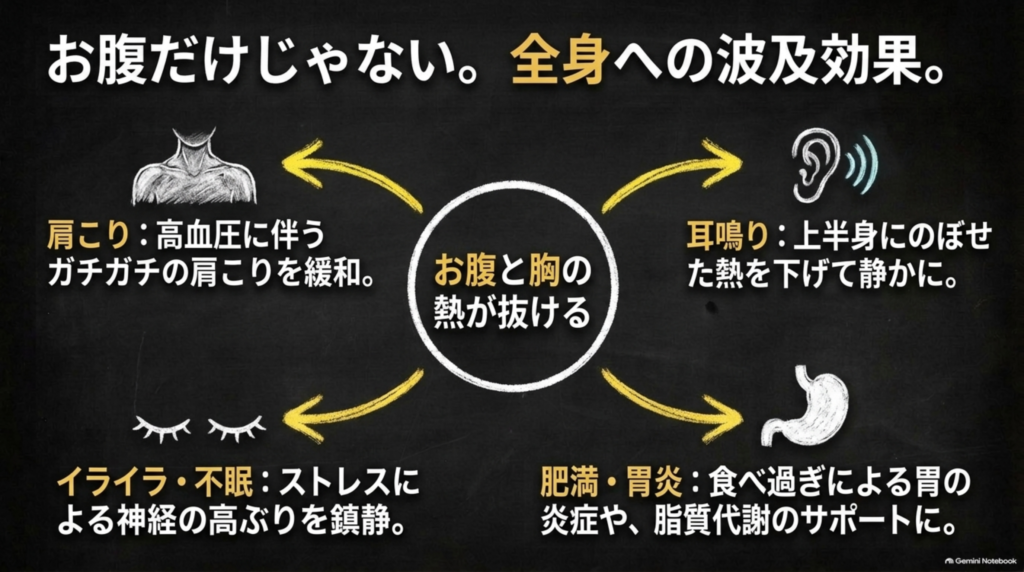 お腹だけじゃない全身への波及効果：肩こり・耳鳴り・イライラや不眠・肥満や胃炎
