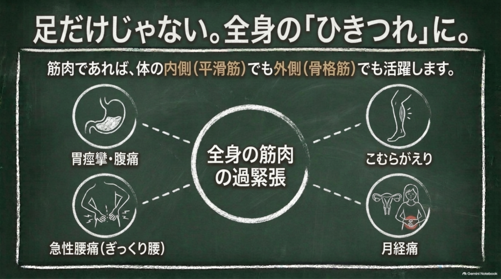 全身の筋肉の過緊張に用いられることを示した図