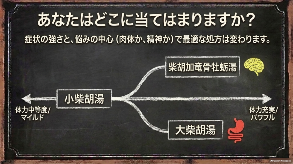症状の強さと悩みの中心で変わる処方：小柴胡湯・大柴胡湯・柴胡加竜骨牡蛎湯