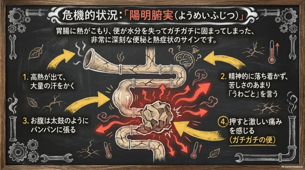 危機的状況「陽明腑実（ようめいふじつ）」：胃腸に熱がこもり、便が水分を失ってガチガチに固まった深刻な便秘と熱症状のサイン