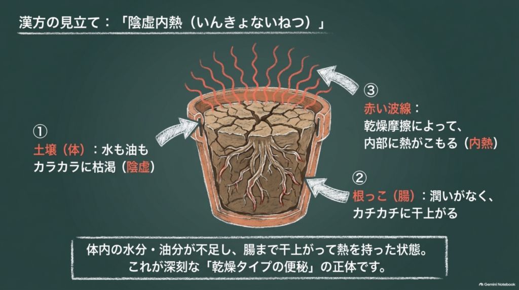 漢方の見立て「陰虚内熱（いんきょないねつ）」：体内の水分・油分が不足し、腸まで干上がって熱を持った状態が乾燥タイプの便秘の正体