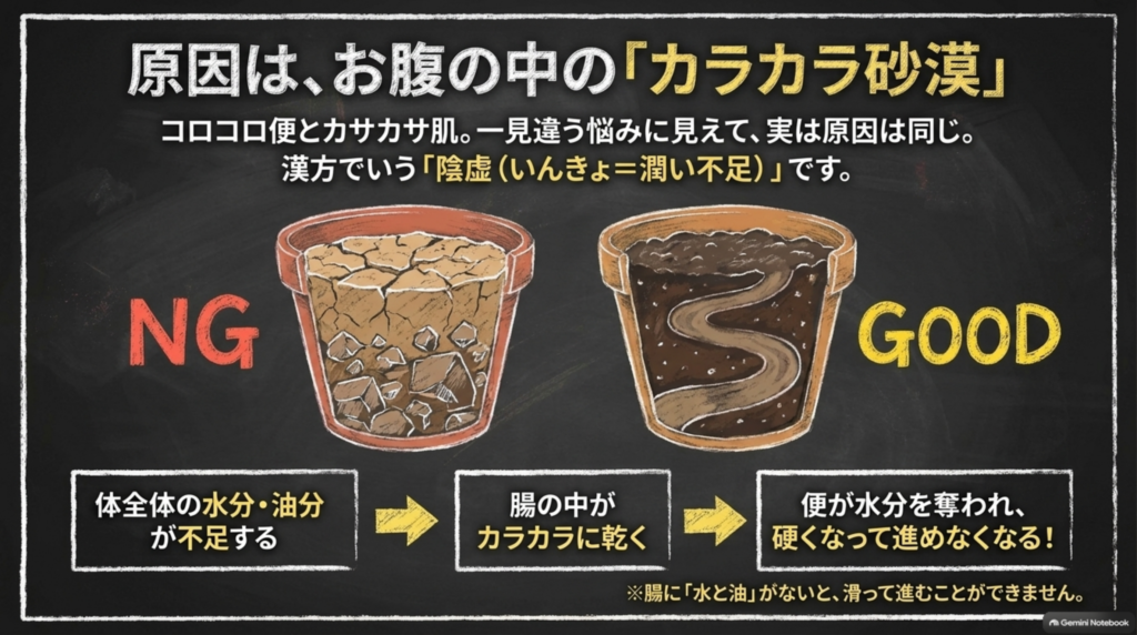 原因はお腹の中のカラカラ砂漠。体全体の水分・油分が不足し、腸の中が乾いて便が硬くなり進めなくなる