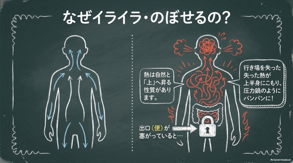 なぜイライラ・のぼせるの?熱は上へ昇る性質があり、出口(便)が塞がると行き場を失った熱が上半身にこもる