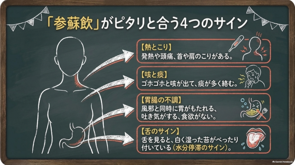 参蘇飲がピタリと合う4つのサイン:熱とこり・咳と痰・胃腸の不調・舌の白く湿った苔