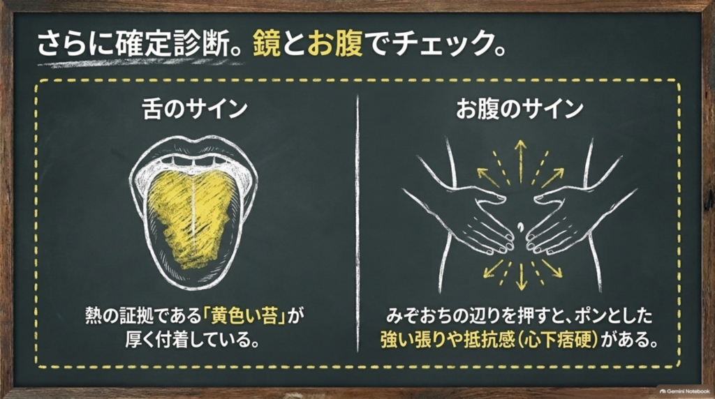 舌とお腹でチェック：舌には熱の証拠である黄色い苔が厚く付き、みぞおちを押すと張りや抵抗感がある