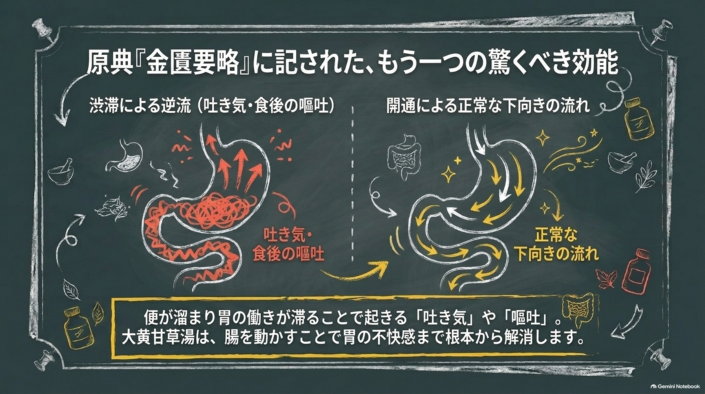 原典『金匱要略』に記された効能：便が溜まり胃の働きが滞ることで起きる吐き気や食後の嘔吐を、腸を動かすことで解消する