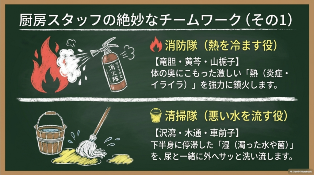 熱を冷ます竜胆・黄芩・山梔子が炎症やイライラの熱を鎮め、沢瀉・木通・車前子が下半身に滞った湿を尿と一緒に洗い流す