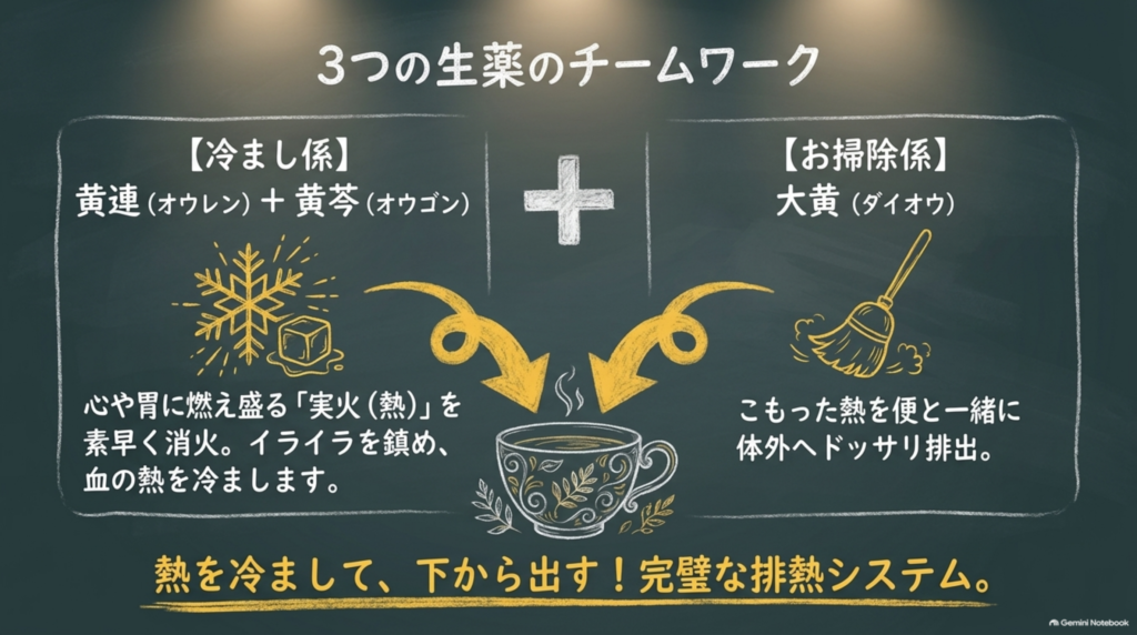 3つの生薬のチームワーク。冷まし係の黄連と黄芩が心や胃の熱を消し、お掃除係の大黄がこもった熱を便と一緒に体外へ。熱を冷まして下から出す