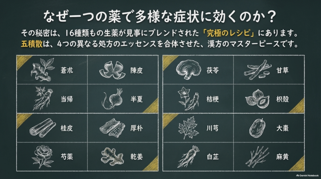 なぜ一つの薬で多様な症状に効くのか?16種類の生薬が見事にブレンドされた究極のレシピ