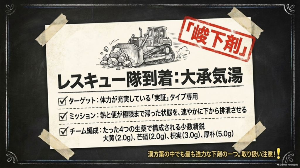 レスキュー隊到着・大承気湯：ターゲットは実証タイプ、熱と便が極限まで滞った状態を下から排泄させる。取り扱い注意の強力な下剤