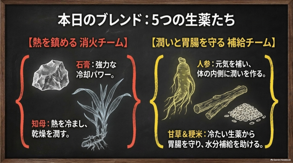 白虎加人参湯の5つの生薬:熱を鎮める石膏・知母、元気と潤いを補う人参、胃腸を守る甘草・粳米