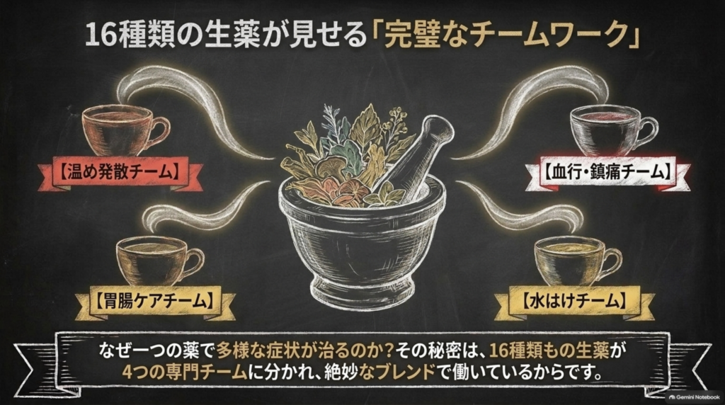 16種類の生薬が見せる完璧なチームワーク:温め発散・胃腸ケア・水はけ・血行鎮痛の4チーム