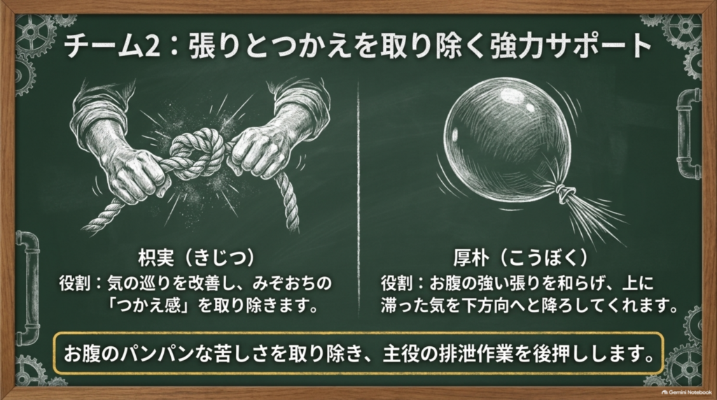 チーム2：枳実が気の巡りを改善してみぞおちのつかえを取り、厚朴がお腹の強い張りを和らげ滞った気を下へ降ろす