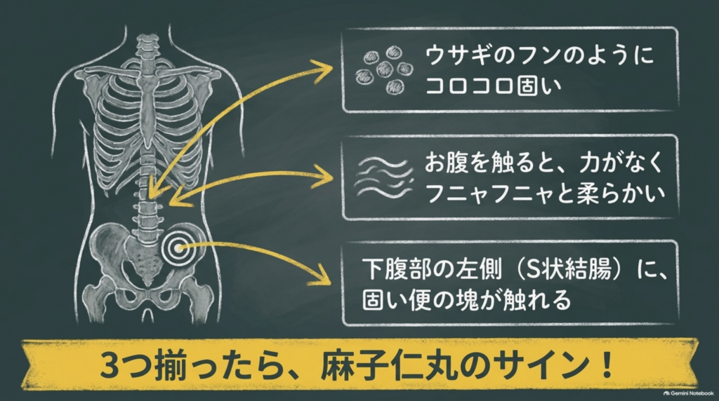3つそろったら麻子仁丸のサイン：ウサギのフンのようなコロコロ便、柔らかく力のないお腹、左下腹部に触れる硬い便の塊
