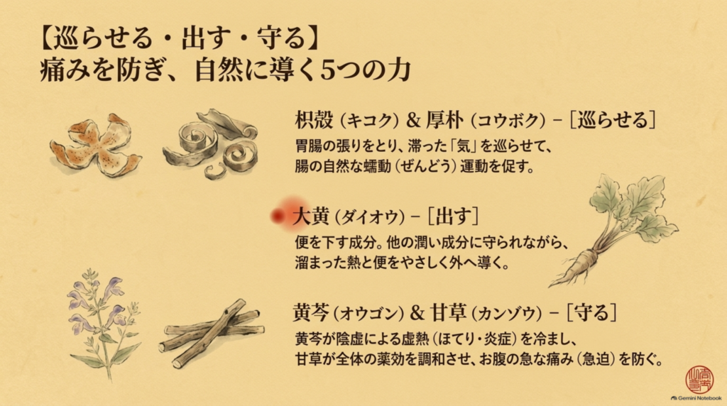 巡らせる・出す・守る：枳殻と厚朴が気を巡らせ、大黄が便を下し、黄芩が熱を冷まし、甘草がお腹の急な痛みを防ぐ