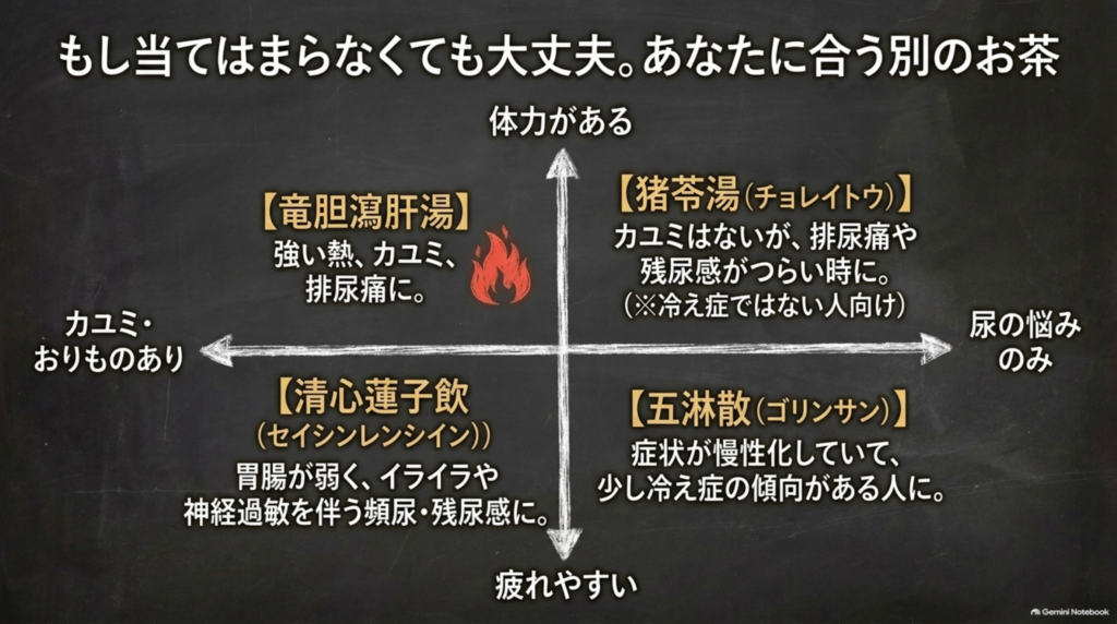 竜胆瀉肝湯が合わなくても大丈夫。かゆみのない排尿痛には猪苓湯、慢性化して冷えがある時は五淋散、胃腸が弱く神経過敏を伴う頻尿には清心蓮子飲