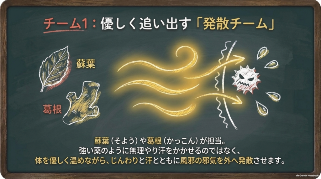 チーム1:優しく追い出す発散チーム。蘇葉や葛根が体を優しく温めながら、汗とともに風邪の邪気を外へ発散