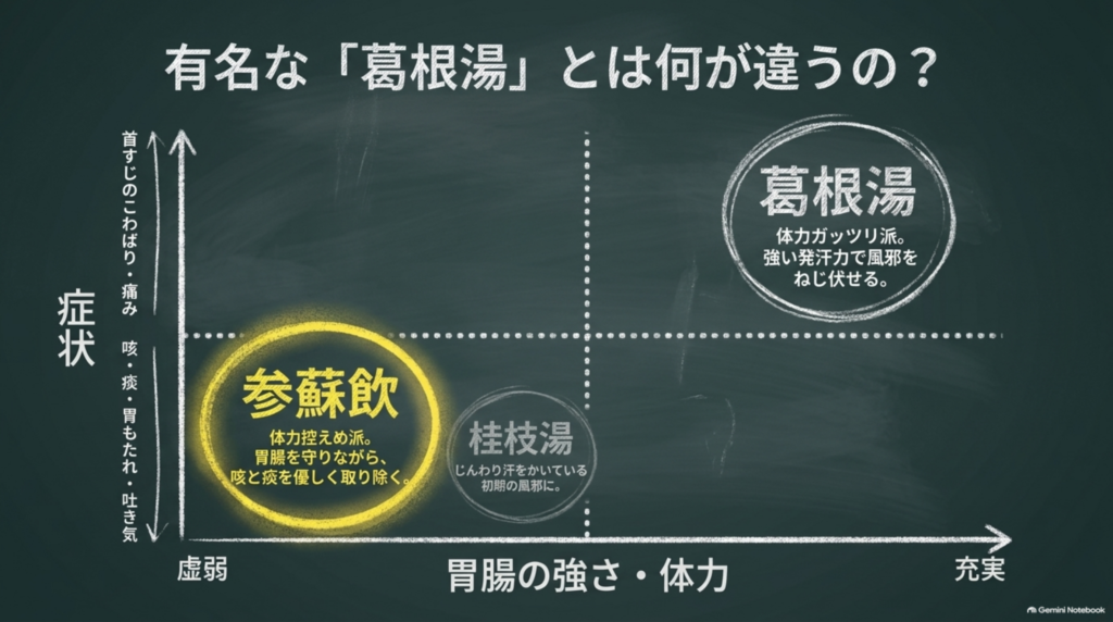 有名な葛根湯とは何が違うの?胃腸の強さ・体力と症状で見る参蘇飲・桂枝湯・葛根湯の位置づけ