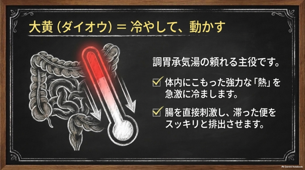 大黄＝冷やして、動かす。体内にこもった熱を冷まし、腸を直接刺激して滞った便をスッキリ排出