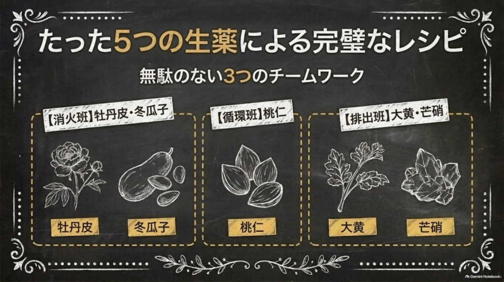 たった5つの生薬による無駄のないチームワーク：消火班（牡丹皮・冬瓜子）、循環班（桃仁）、排出班（大黄・芒硝）