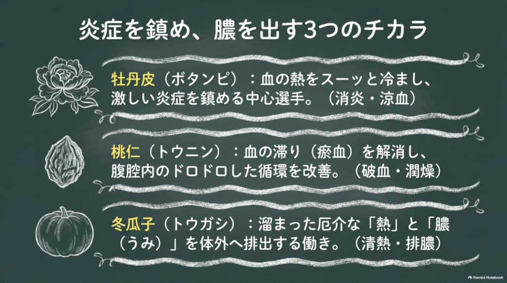 炎症を鎮め、膿を出す3つのチカラ：牡丹皮（消炎・涼血）、桃仁（破血・潤燥）、冬瓜子（清熱・排膿）