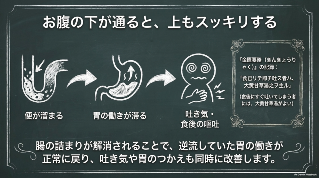 お腹の下が通ると上もスッキリする。便が溜まる→胃の働きが滞る→吐き気・食後の嘔吐。腸の詰まりが解消されると胃の働きも戻る