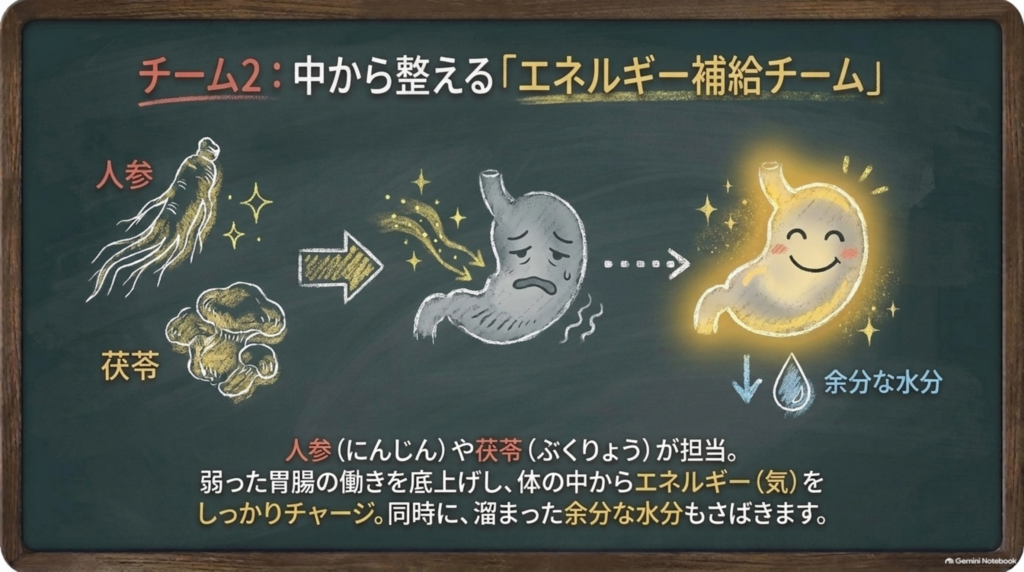 チーム2:中から整えるエネルギー補給チーム。人参や茯苓が弱った胃腸の働きを底上げし、余分な水分もさばく