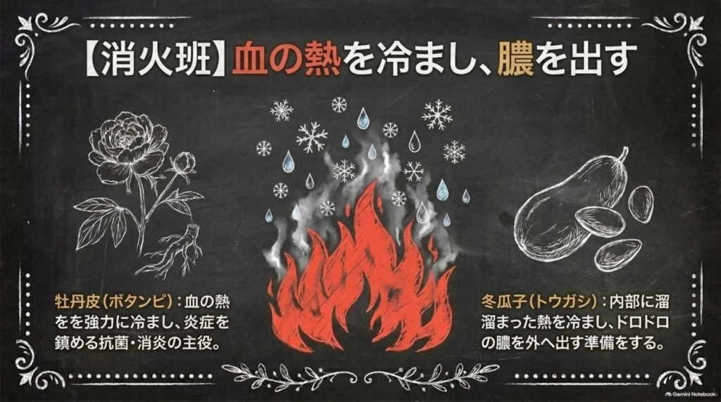 消火班：牡丹皮（ボタンピ）が血の熱を冷まし炎症を鎮め、冬瓜子（トウガシ）がこもった熱を冷まし膿を外へ出す