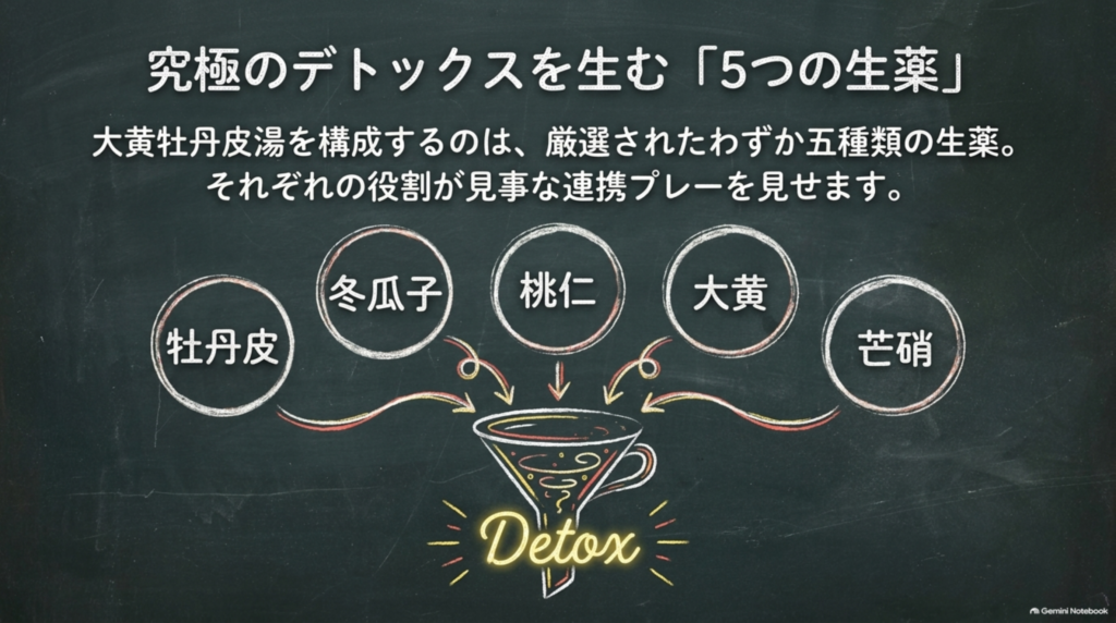 大黄牡丹皮湯を構成する5つの生薬：牡丹皮・冬瓜子・桃仁・大黄・芒硝
