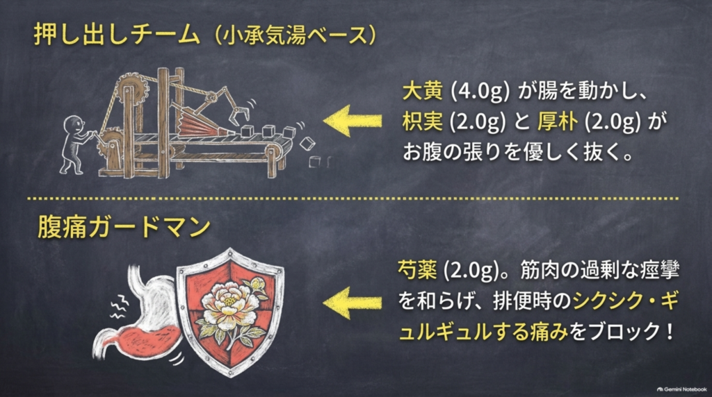 押し出しチーム（小承気湯ベース）：大黄が腸を動かし、枳実と厚朴がお腹の張りを和らげる。芍薬が排便時の痛みを防ぐ