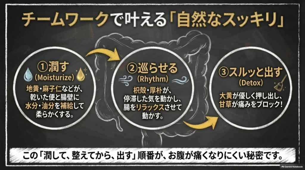 潤す、巡らせる、スルッと出す。この順番が、お腹が痛くなりにくい秘密