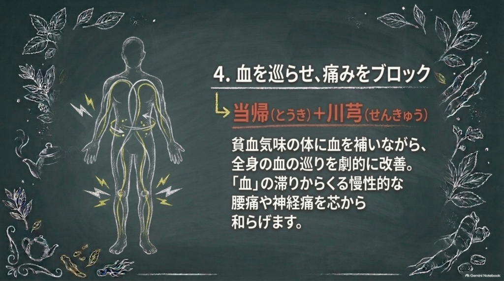血を巡らせ痛みをブロック:当帰と川芎が血を補い巡らせ、慢性的な腰痛や神経痛を和らげる