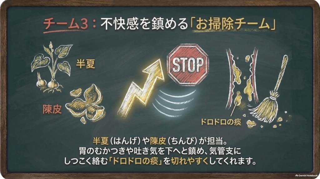 チーム3:不快感を鎮めるお掃除チーム。半夏や陳皮が胃のむかつきや吐き気を鎮め、絡む痰を切れやすくする