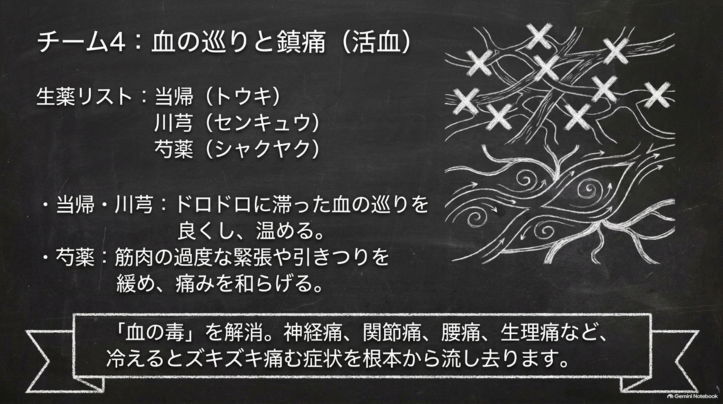 チーム4:血の巡りと鎮痛。当帰・川芎が滞った血の巡りを良くし、芍薬が筋肉の緊張を緩めて痛みを和らげる