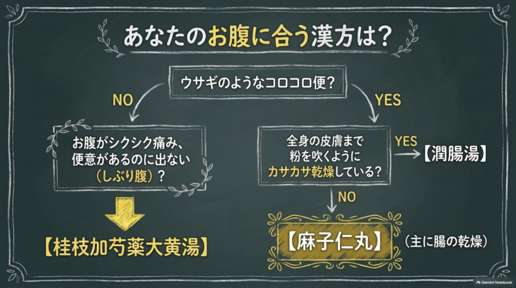 あなたのお腹に合う漢方は？コロコロ便で全身の皮膚まで乾燥していれば潤腸湯、乾燥が主に腸なら麻子仁丸、しぶり腹なら桂枝加芍薬大黄湯