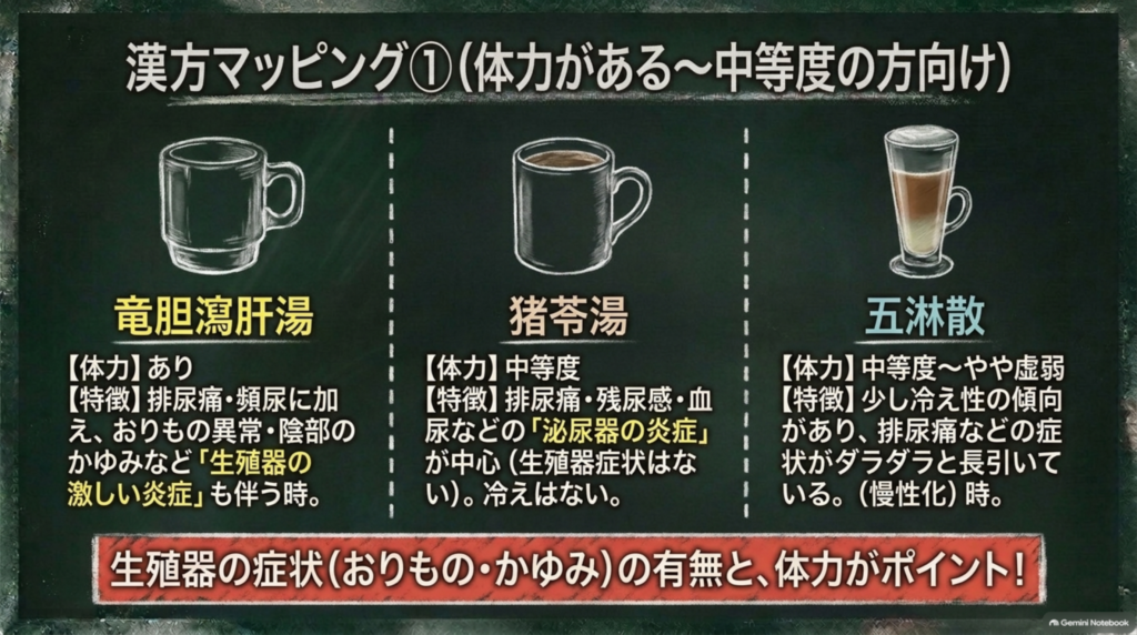 体力がある〜中等度の方向け。竜胆瀉肝湯はおりもの・かゆみなど生殖器の炎症も伴う時、猪苓湯は泌尿器の炎症が中心の時、五淋散は少し冷えがあり長引く時